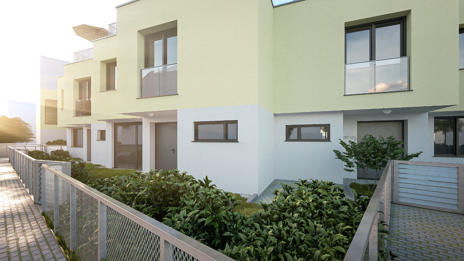 WhatsApp Image 2025-12-26 at 12.51.14 (1)